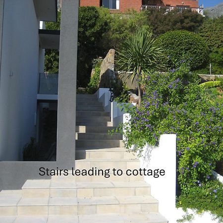 Camps Bay Cosy Accommodation 开普敦 外观 照片